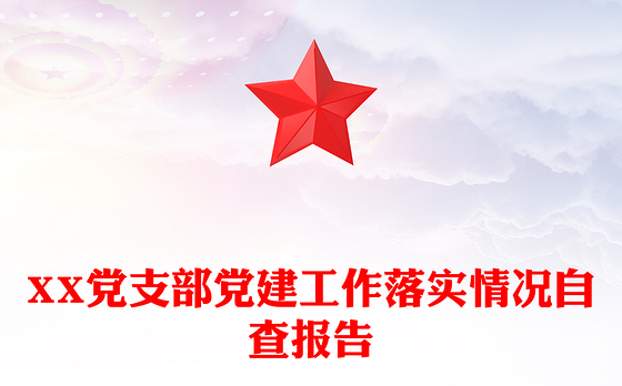 XX党支部党建工作落实情况自查报告
