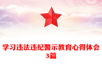 学习违法违纪警示教育心得体会3篇