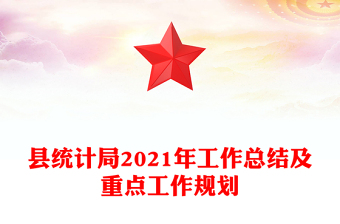 县统计局2021年工作总结及重点工作规划