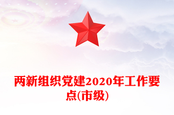 两新组织党建2020年工作要点(市级)