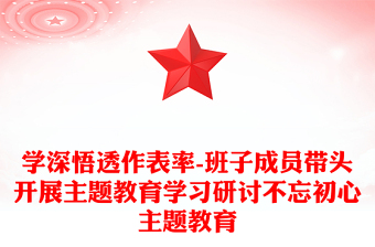 学深悟透作表率-班子成员带头开展主题教育学习研讨不忘初心主题教育