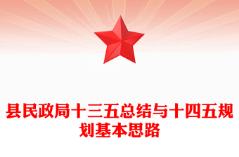 县民政局十三五总结与十四五规划基本思路