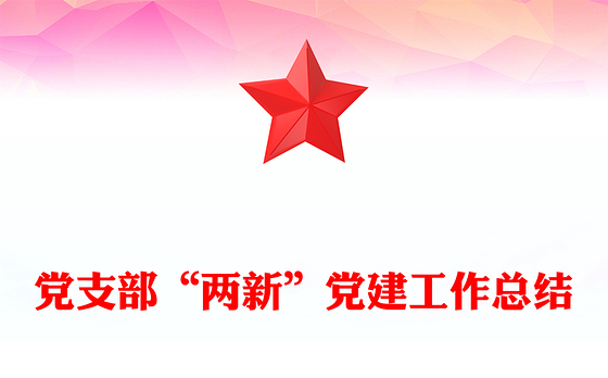 党支部“两新”党建工作总结