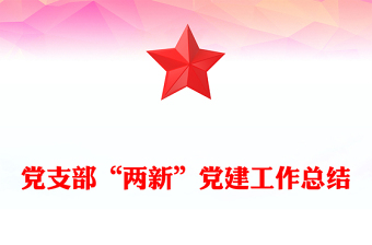 党支部“两新”党建工作总结