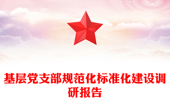 基层党支部规范化标准化建设调研报告