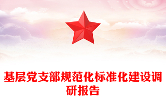 基层党支部规范化标准化建设调研报告