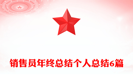销售员年终总结个人总结6篇