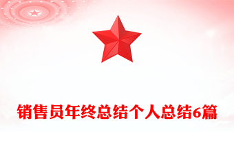 销售员年终总结个人总结6篇