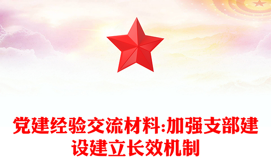 党建经验交流材料:加强支部建设建立长效机制