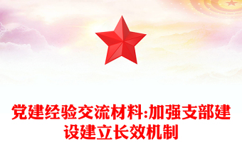 党建经验交流材料:加强支部建设建立长效机制