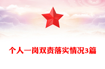 个人一岗双责落实情况3篇