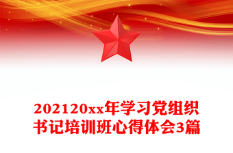 202120xx年学习党组织书记培训班心得体会3篇