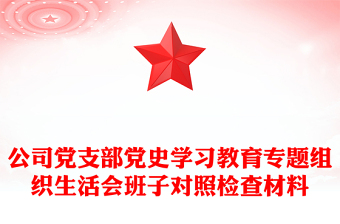 公司党支部党史学习教育专题组织生活会班子对照检查材料