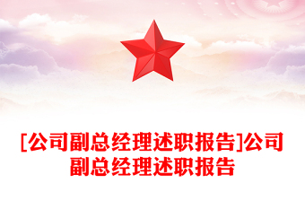 [公司副总经理述职报告]公司副总经理述职报告