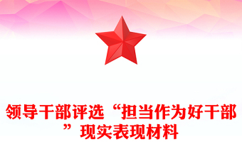 领导干部评选“担当作为好干部”现实表现材料