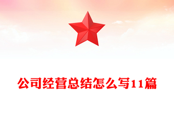 公司经营总结怎么写11篇