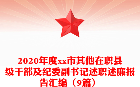 2020年度市其他在职县级干部及纪委副书记述职述廉报告汇编（9篇）
