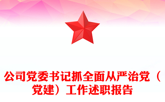 公司党委书记抓全面从严治党（党建）工作述职报告