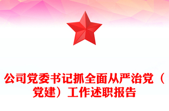 公司党委书记抓全面从严治党（党建）工作述职报告