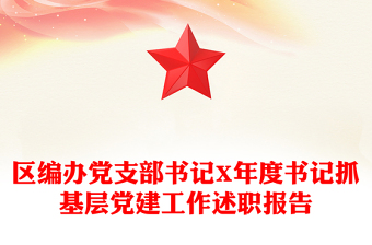 区编办党支部书记X年度书记抓基层党建工作述职报告