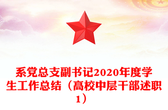 系党总支副书记2020年度学生工作总结（高校中层干部述职1）