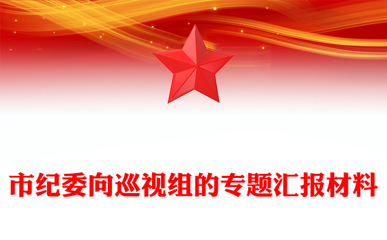 市纪委向巡视组的专题汇报材料