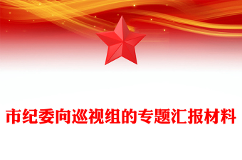 市纪委向巡视组的专题汇报材料