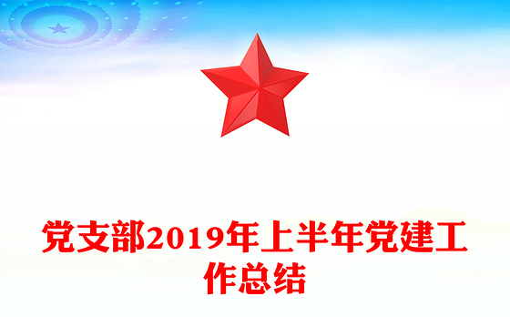 党支部2019年上半年党建工作总结