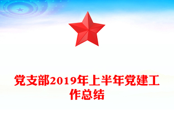 党支部2019年上半年党建工作总结