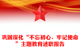 巩固深化“不忘初心、牢记使命”主题教育述职报告