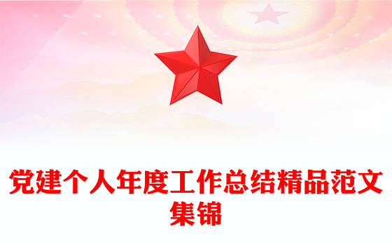 党建个人年度工作总结精品范文集锦