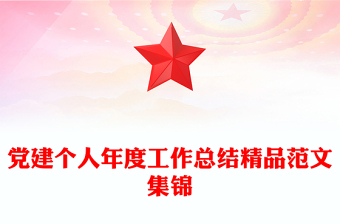党建个人年度工作总结精品范文集锦
