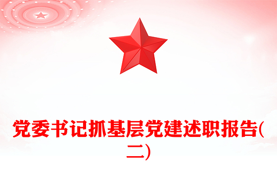 党委书记抓基层党建述职报告(二)