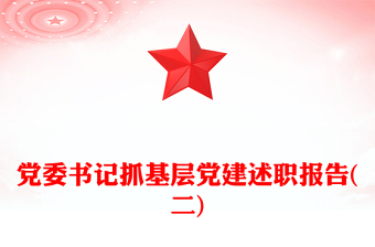 党委书记抓基层党建述职报告(二)