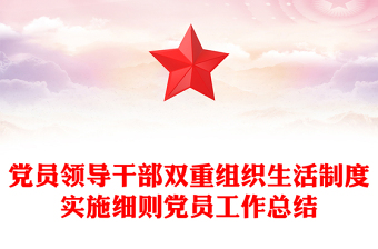 党员领导干部双重组织生活制度实施细则党员工作总结