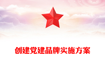 创建党建品牌实施方案