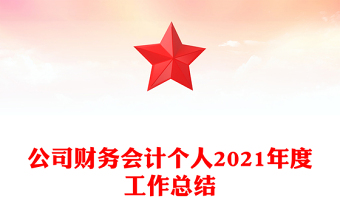 公司财务会计个人2021年度工作总结