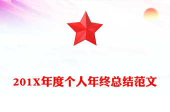 201X年度个人年终总结范文