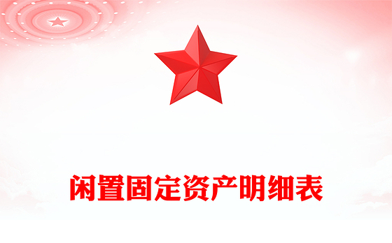 闲置固定资产明细表