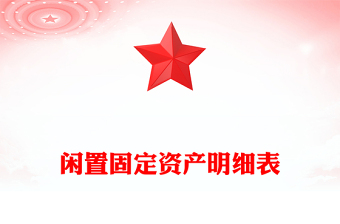 闲置固定资产明细表