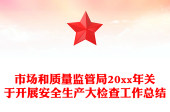 市场和质量监管局20xx年关于开展安全生产大检查工作总结