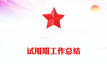 试用期工作总结