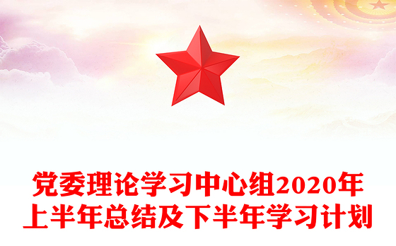党委理论学习中心组2020年上半年总结及下半年学习计划
