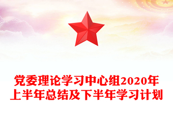 党委理论学习中心组2020年上半年总结及下半年学习计划