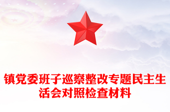 镇党委班子巡察整改专题民主生活会对照检查材料