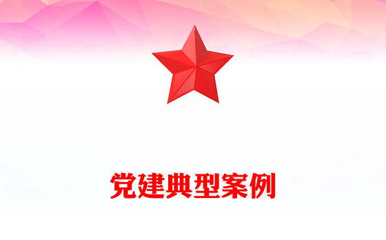 党建典型案例