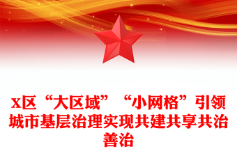 X区“大区域”“小网格”引领城市基层治理实现共建共享共治善治