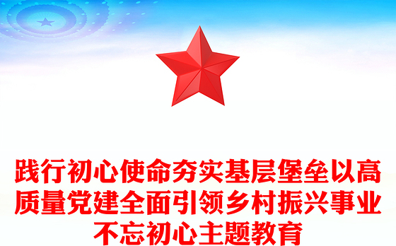 践行初心使命夯实基层堡垒以高质量党建全面引领乡村振兴事业不忘初心主题教育