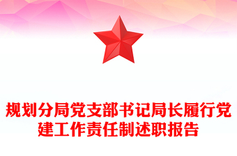规划分局党支部书记局长履行党建工作责任制述职报告