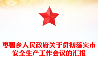 枣碧乡人民政府关于贯彻落实市安全生产工作会议的汇报
